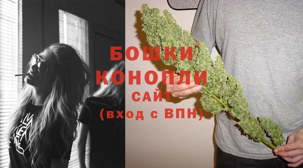 шишки Верхний Тагил